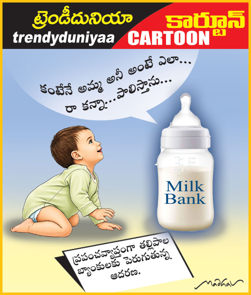 1june trendycartoon