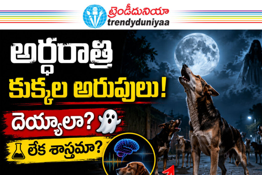 Why Dogs Bark at Night