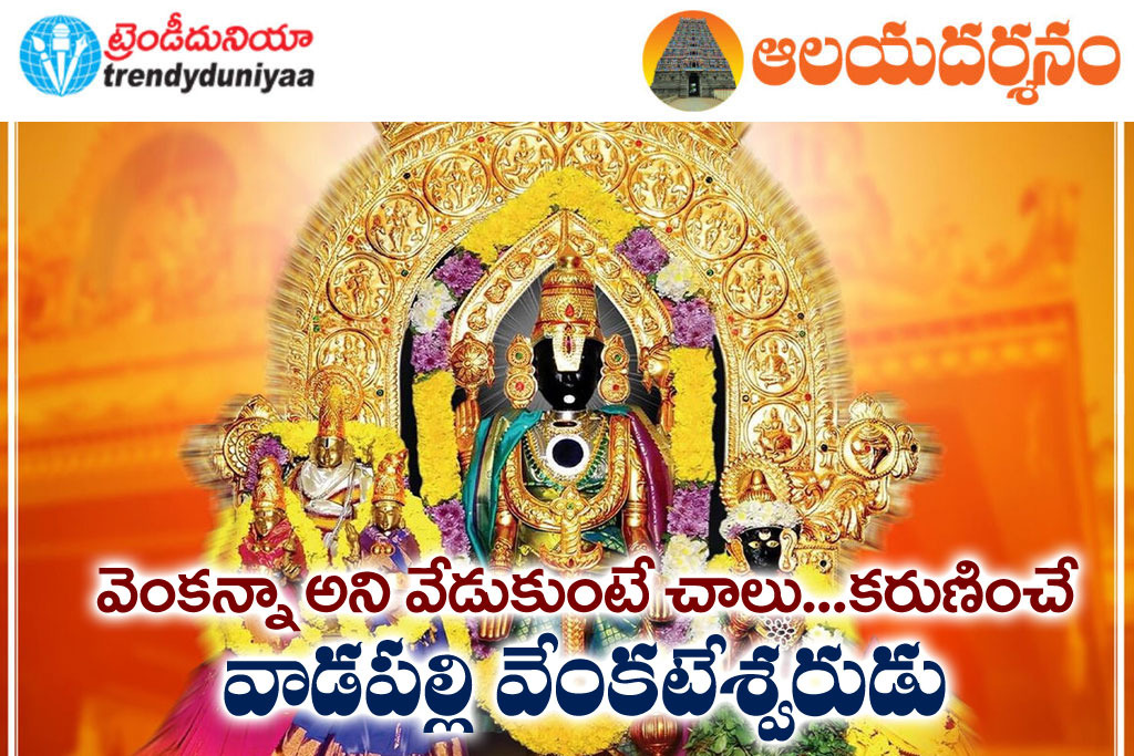 Vadapall | శ్రీ వేంకటేశ్వర స్వామి ఆలయం విశేషాలు | స్థలపురాణం, పూజలు, బ్రహ్మోత్సవాలు