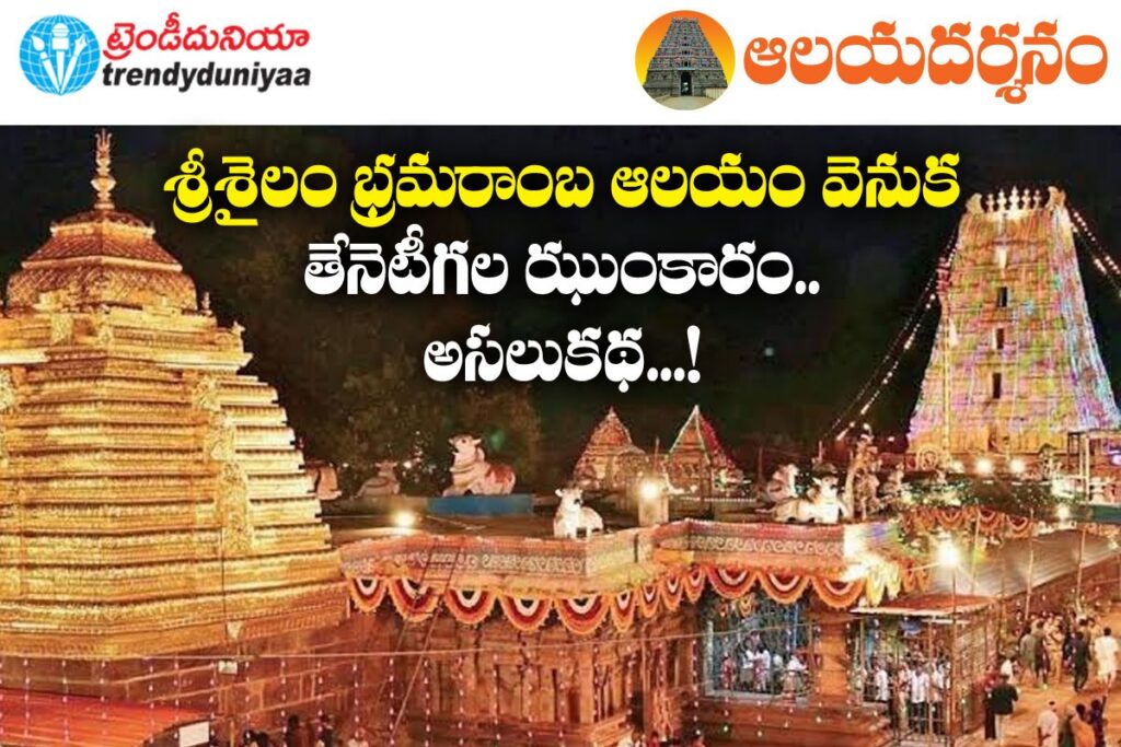 Srisailam Mystery