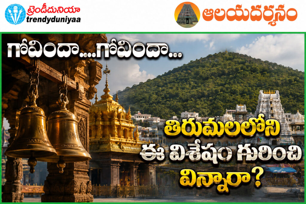 Tirumala Ghanta Mandapam Pillars16